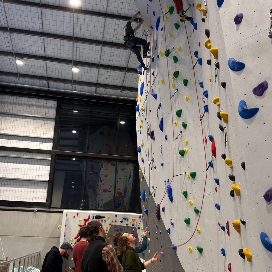Looking up the full-height lead wall at Beta Park at the Hub, a climber high near the top while friends belay and watch from the floor